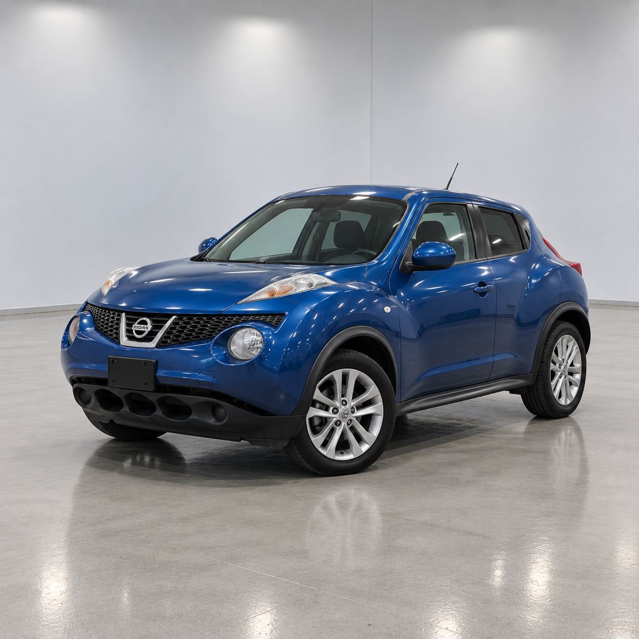 2011 NISSAN Juke